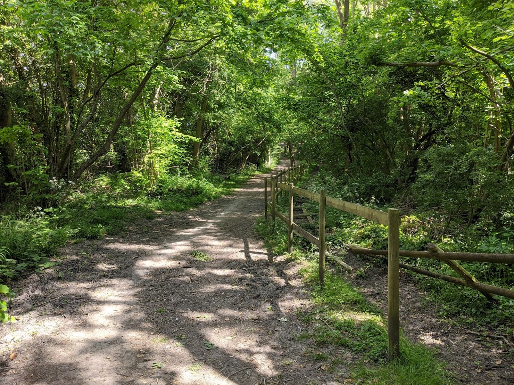 Cobtree Manor Park - Foto 1