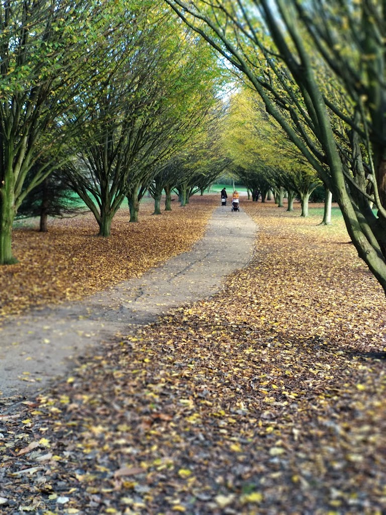 Cobtree Manor Park - Foto 11