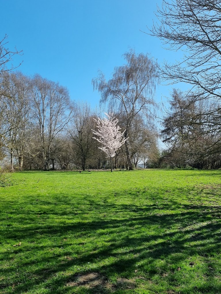 Cobtree Manor Park - Foto 12