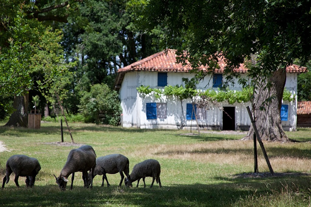 Écomusee de Marquèze - Foto 1