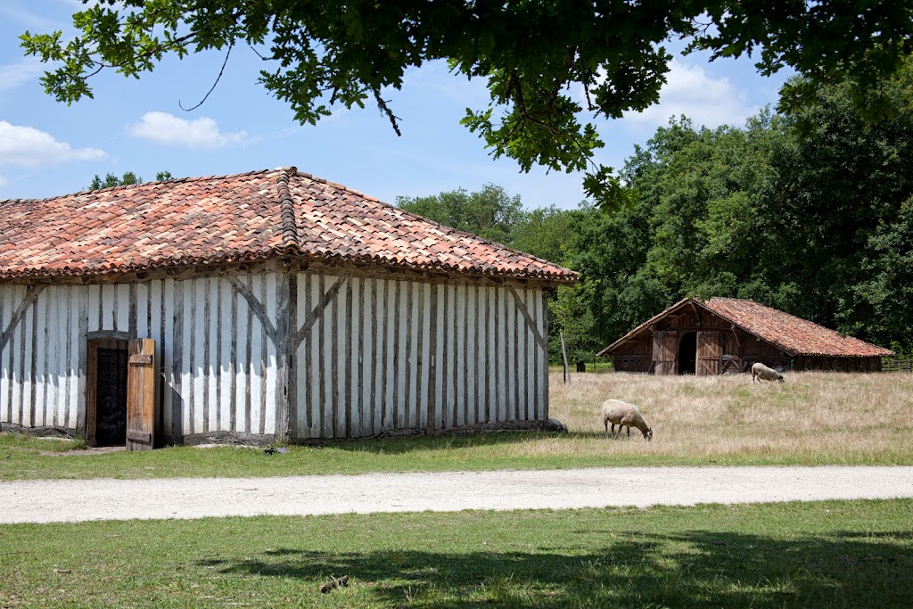Écomusee de Marquèze - Foto 1