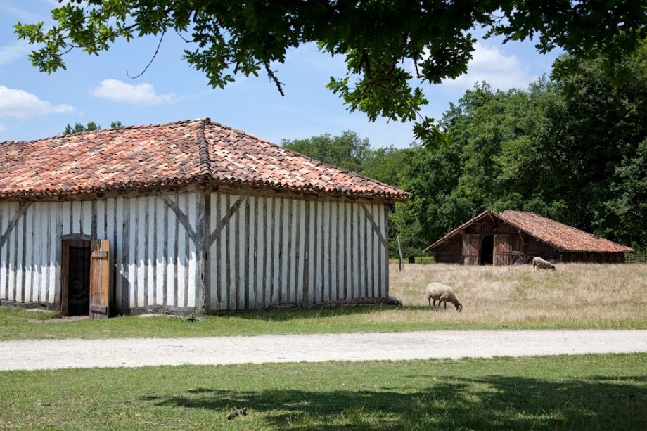 Écomusee de Marquèze - Foto 15