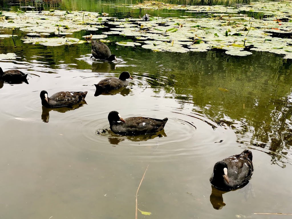 Bluewater Nature Trail - Foto 1