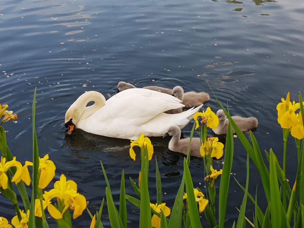 Bluewater Nature Trail - Foto 1