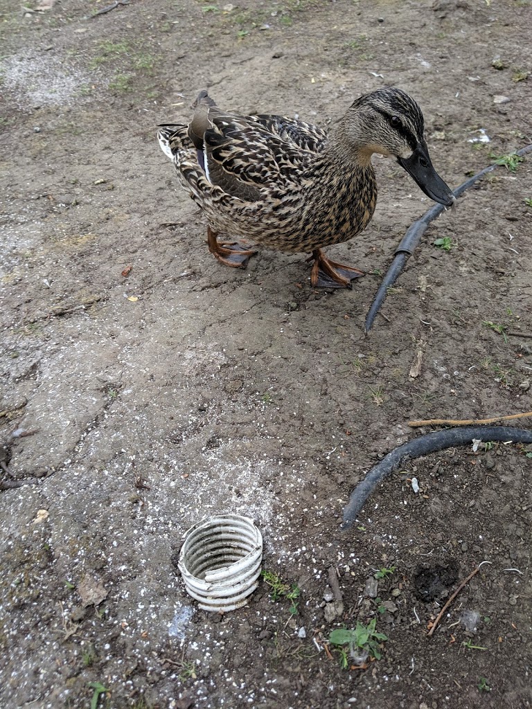 Bluewater Nature Trail - Foto 1