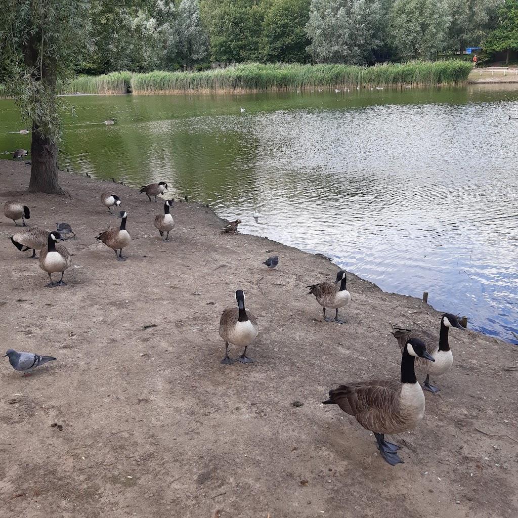 Bluewater Nature Trail - Foto 1