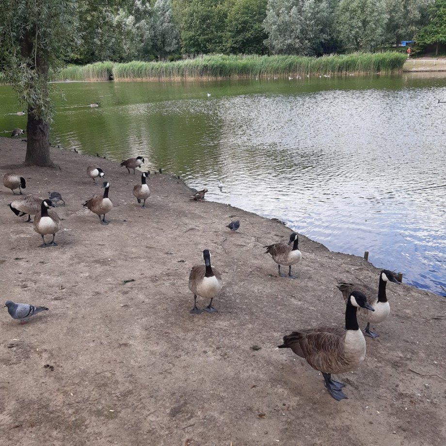 Bluewater Nature Trail - Foto 13