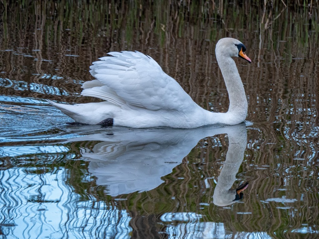 Bluewater Nature Trail - Foto 1