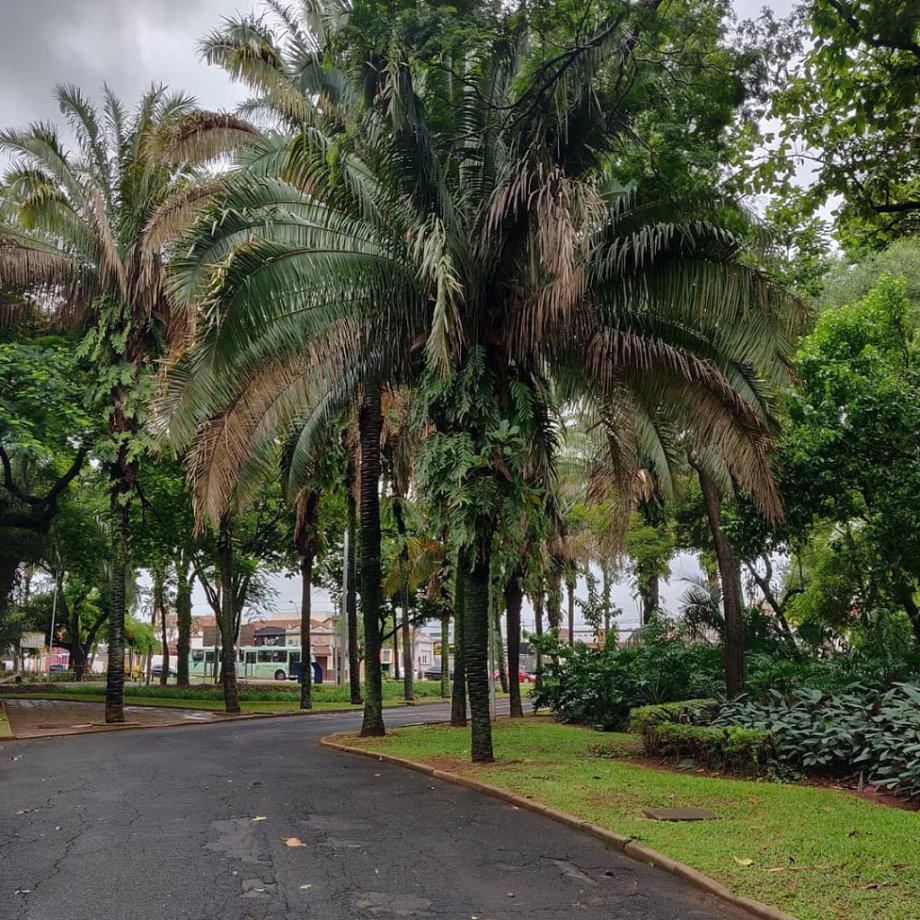 Parque Infantil Araraquara - Foto 2