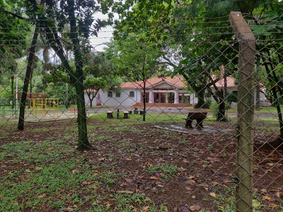 Parque Infantil Araraquara - Foto 4
