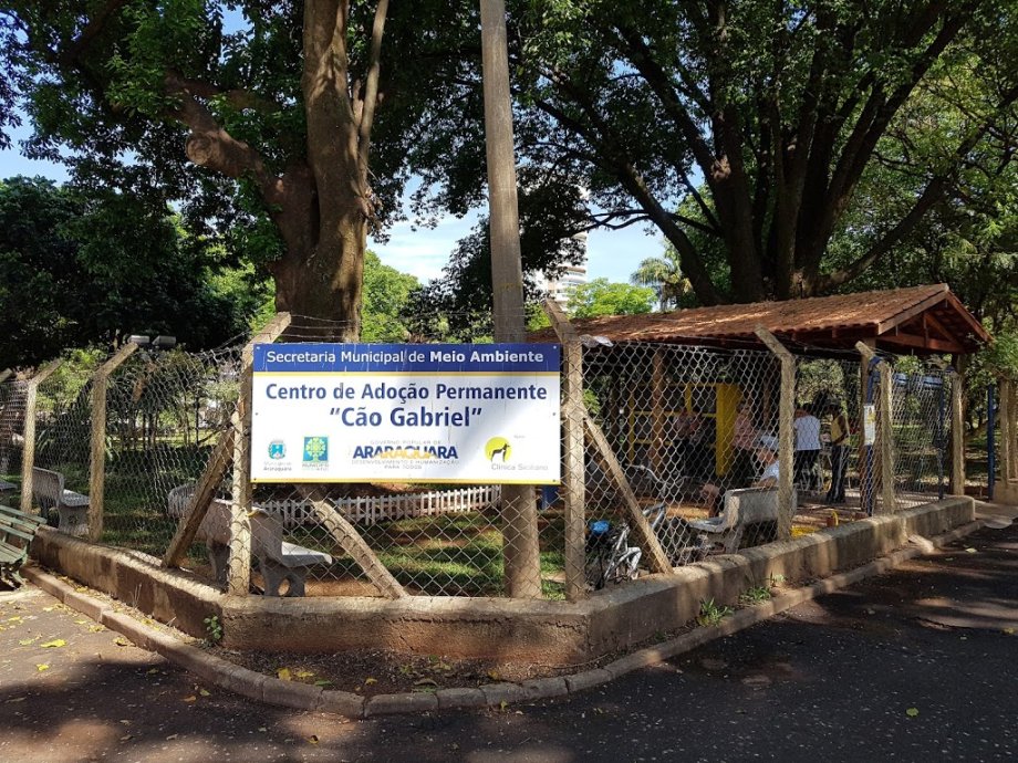 Parque Infantil Araraquara - Foto 5