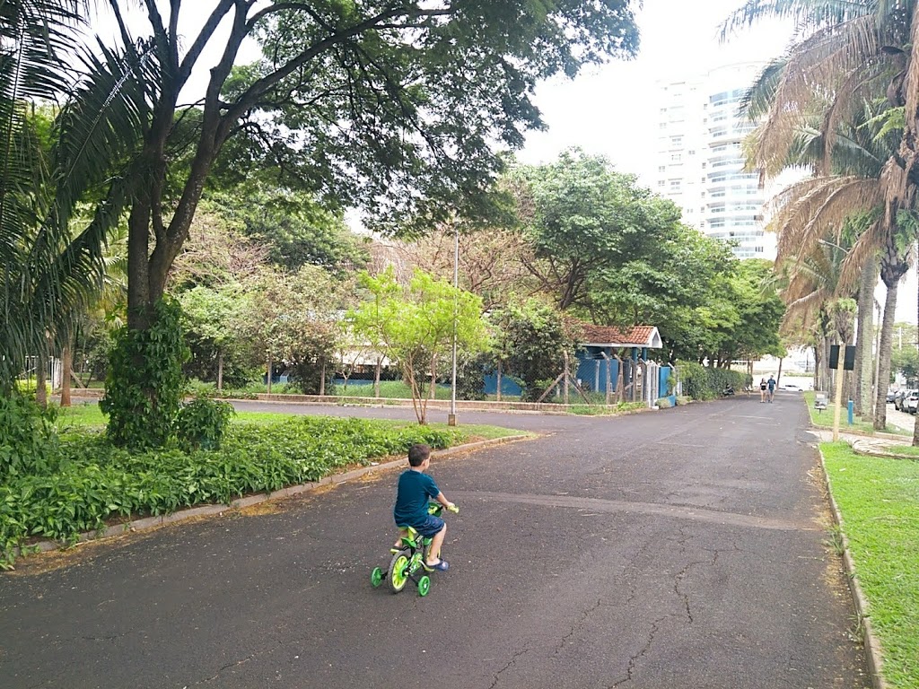 Parque Infantil Araraquara - Foto 1