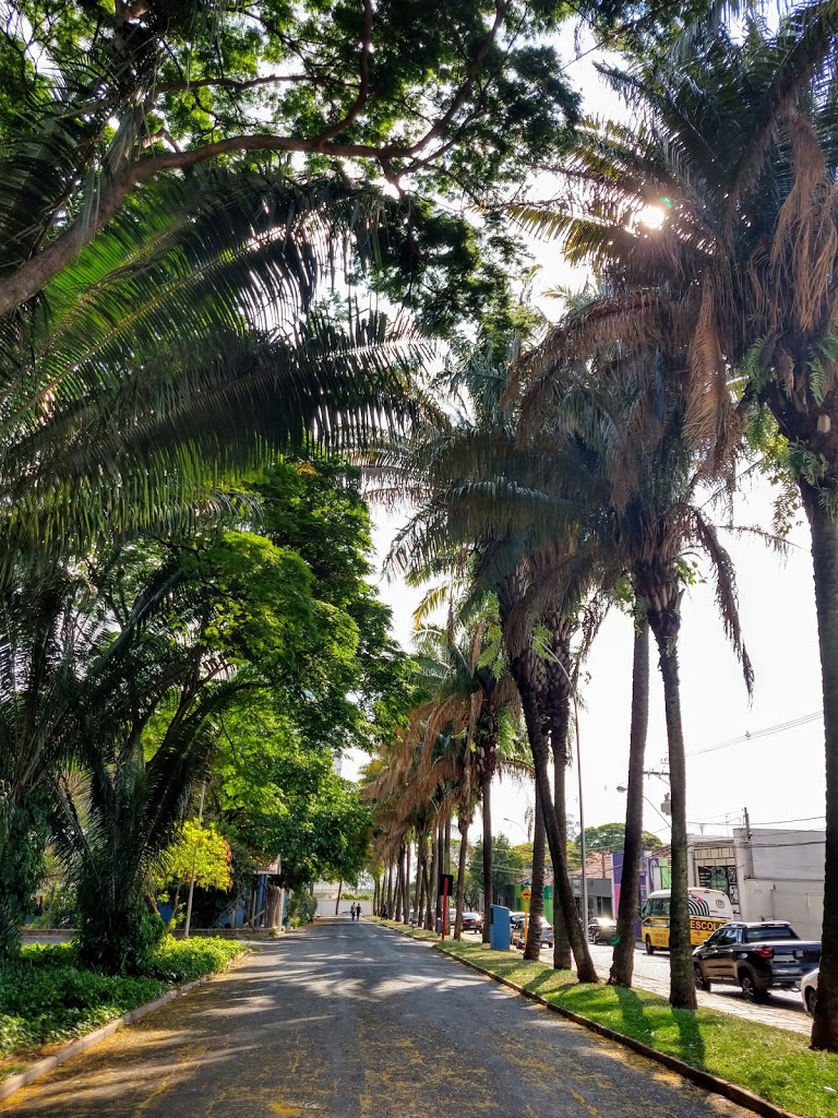 Parque Infantil Araraquara - Foto 1
