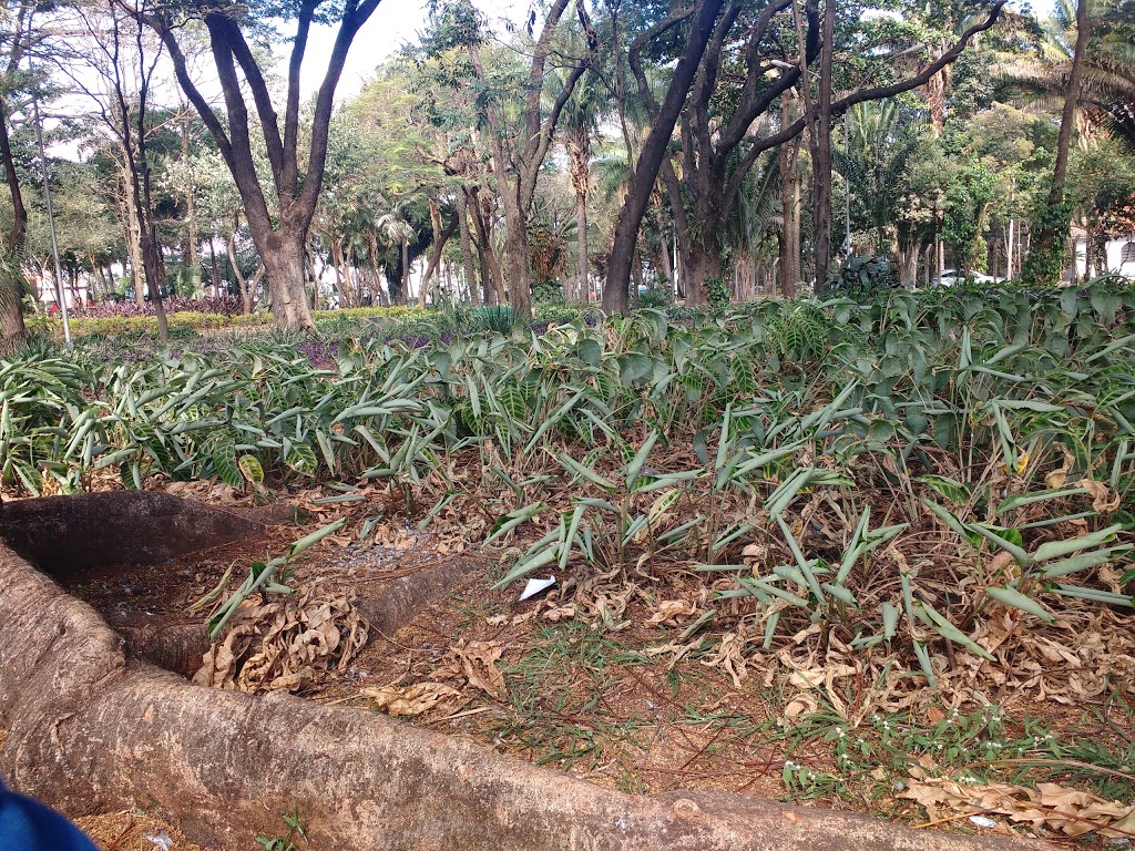 Parque Infantil Araraquara - Foto 1