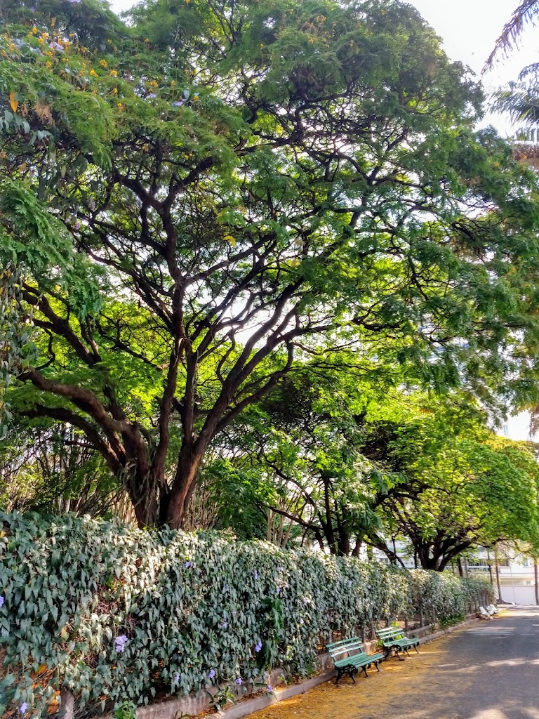 Parque Infantil Araraquara - Foto 12