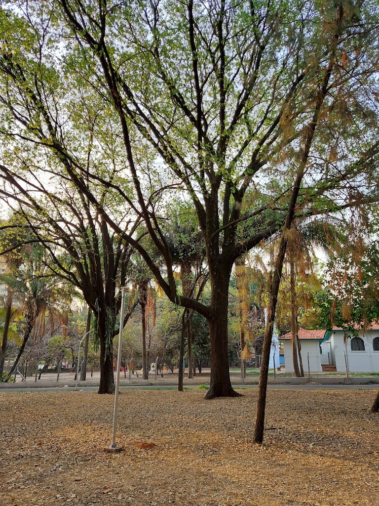 Parque Infantil Araraquara - Foto 1
