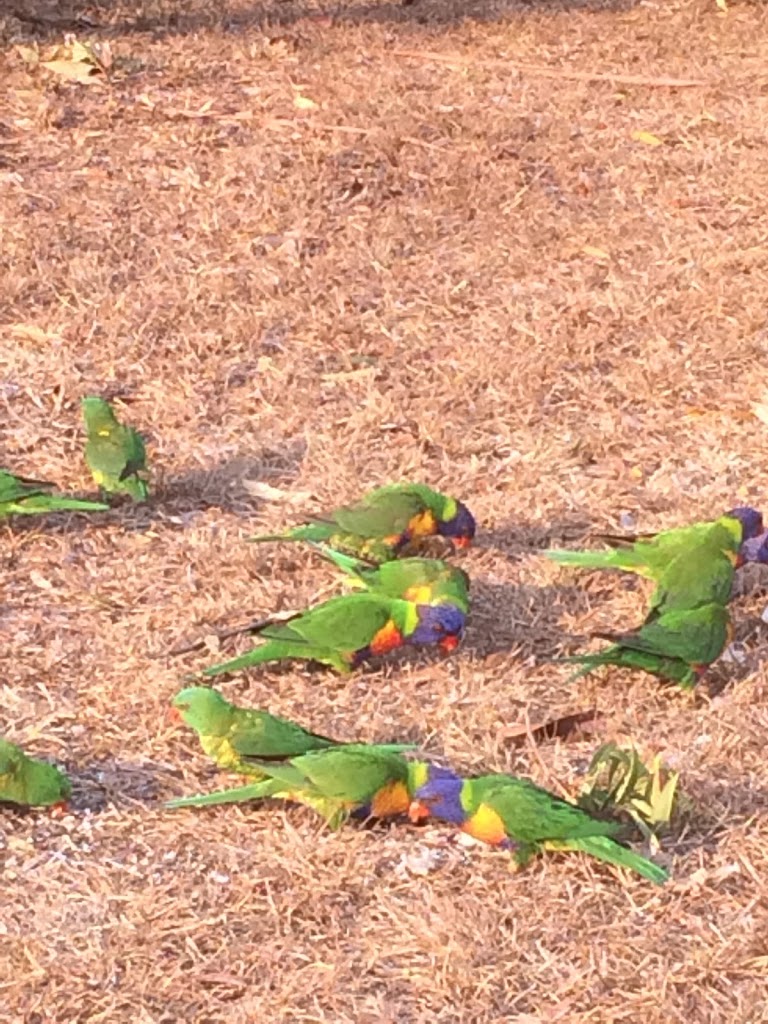 Vicki Wilson Playground - Foto 1