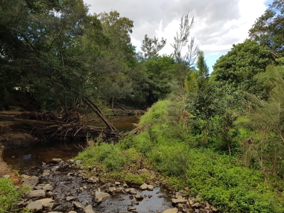 Leslie Patrick Park Playground - Foto 2