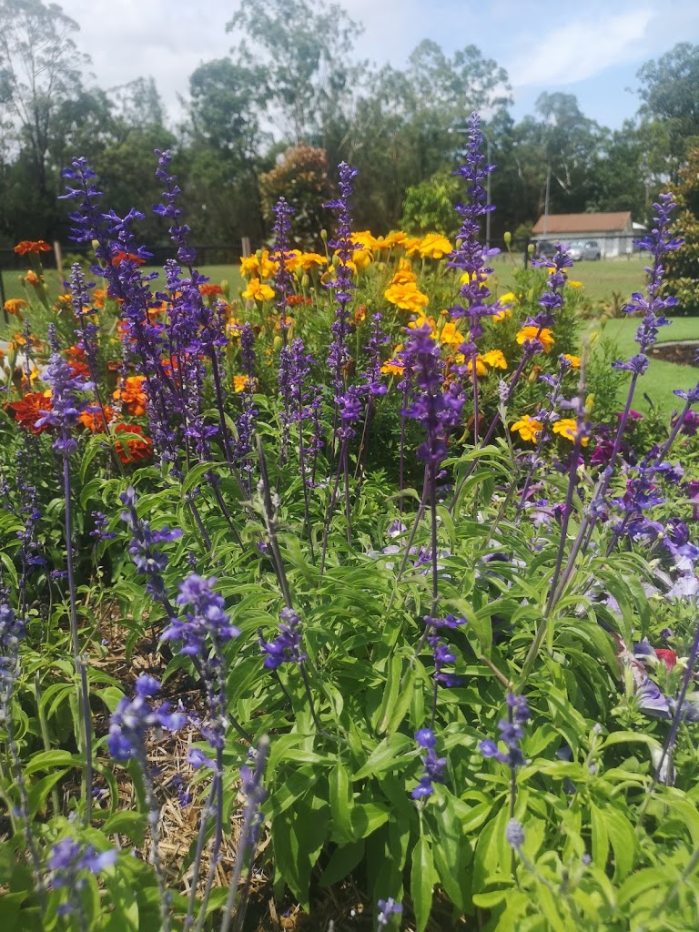 Leslie Patrick Park Playground - Foto 4