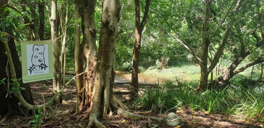 Leslie Patrick Park Playground - Foto 7