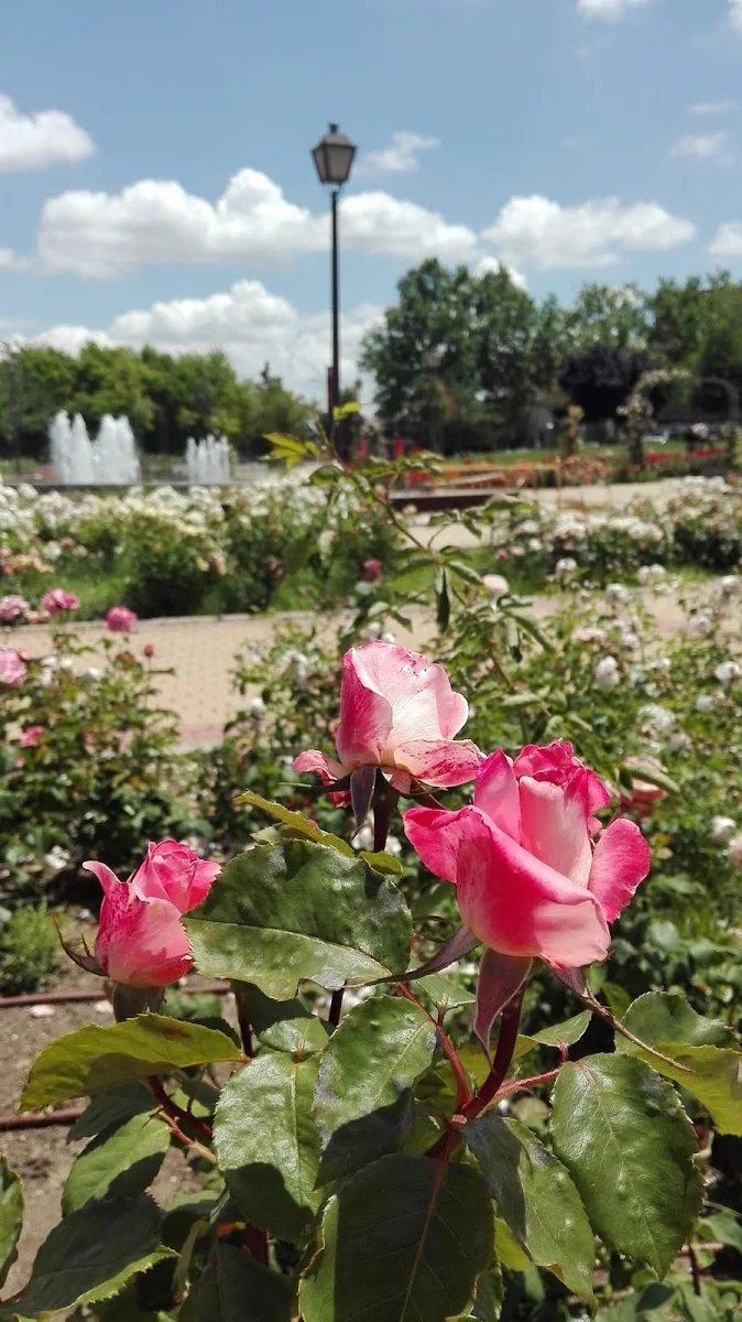 Parque de la Cuña Verde de Latina - Foto 5