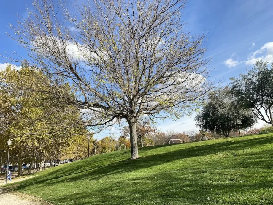 Parque de la Cuña Verde de Latina - Foto 6