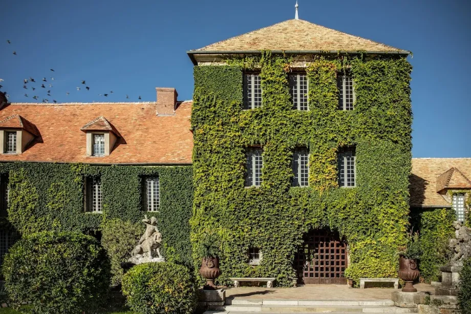Château de Villiers-le-Mahieu - Foto 2