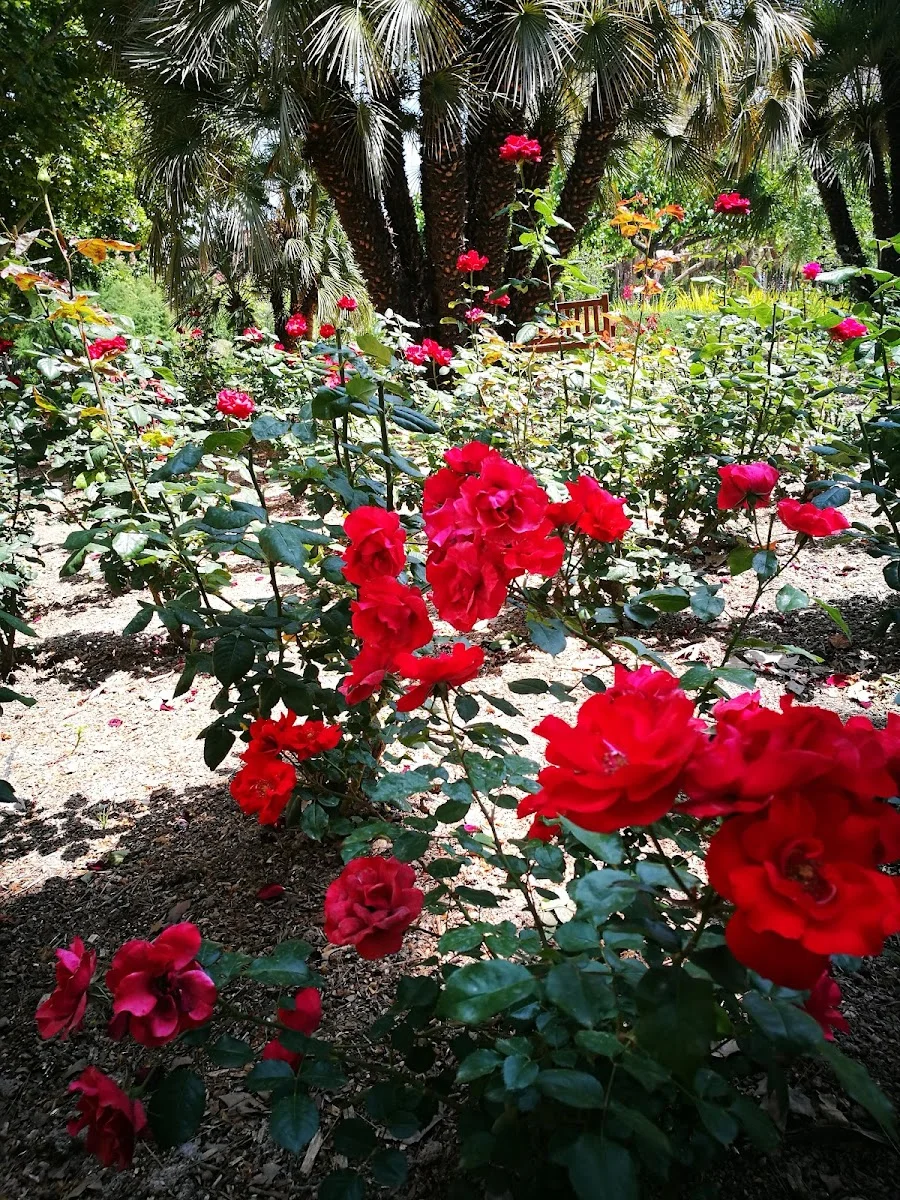 Jardín de la Seda - Foto 4