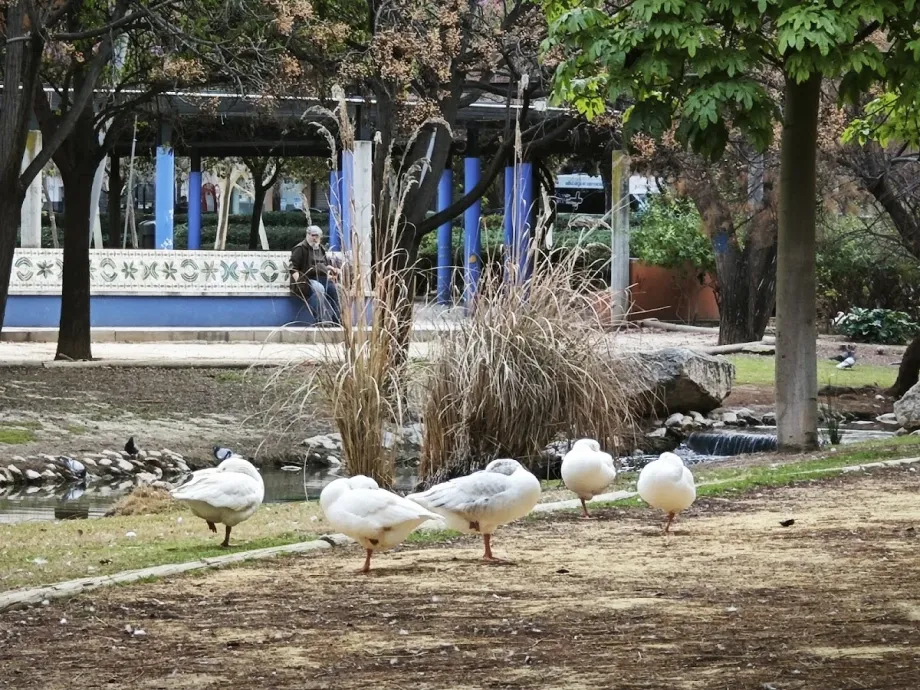 Jardín de la Seda - Foto 7