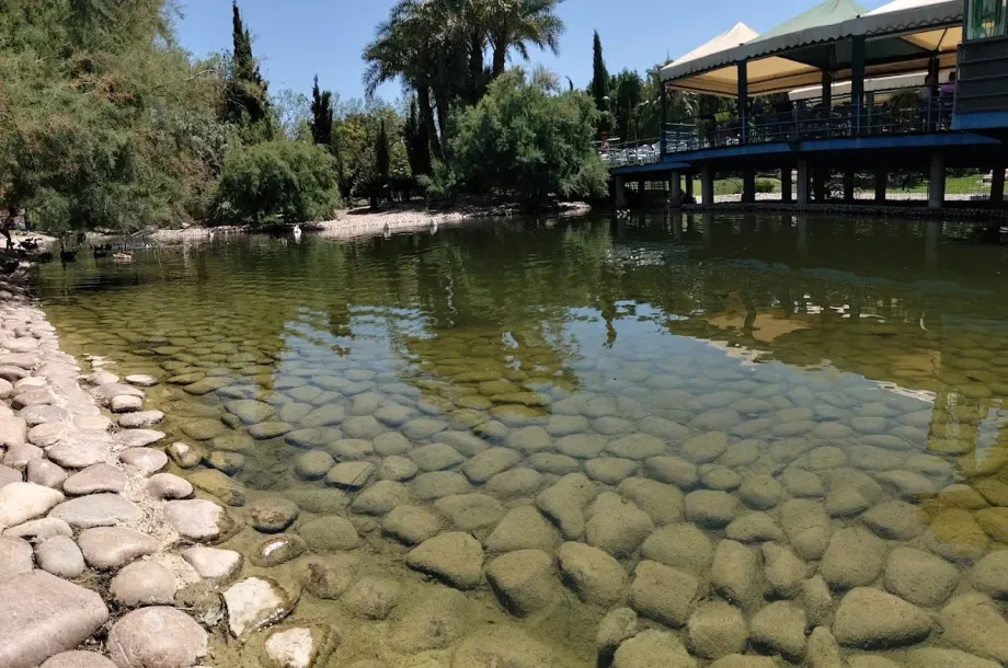 Jardín de la Seda - Foto 10