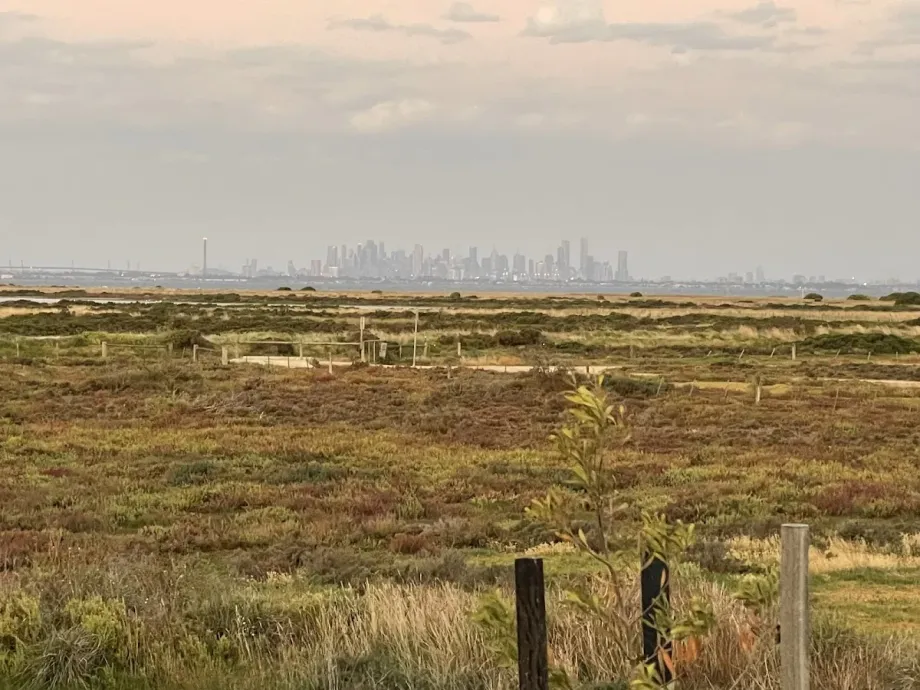 Saltwater Coast Crocodile Park - Foto 6