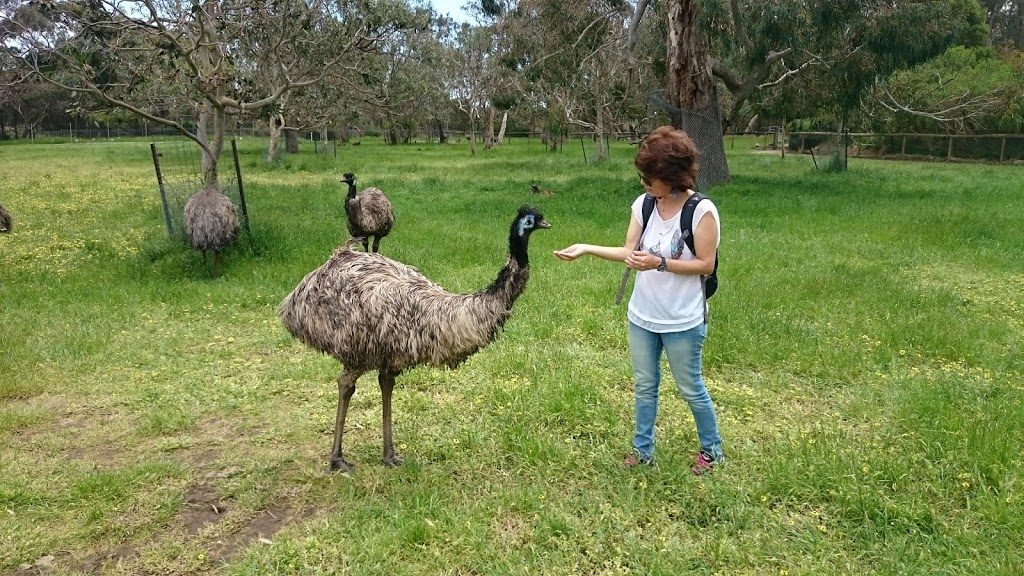 Cleland Wildlife Park - Foto 1