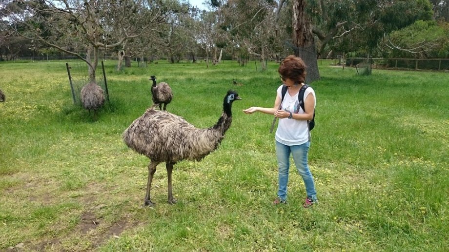 Cleland Wildlife Park - Foto 3