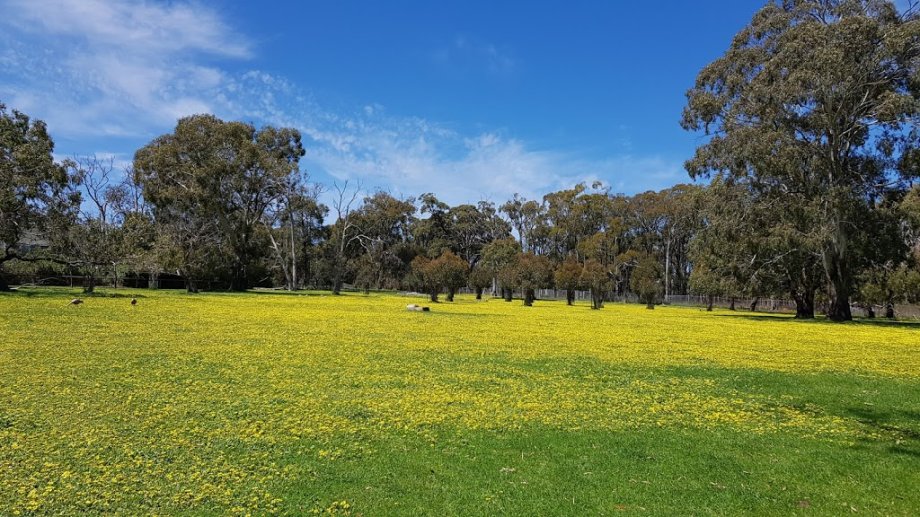 Cleland Wildlife Park - Foto 7