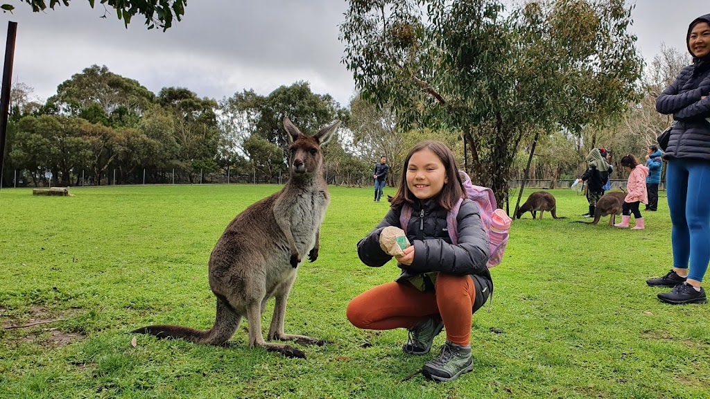 Cleland Wildlife Park - Foto 1