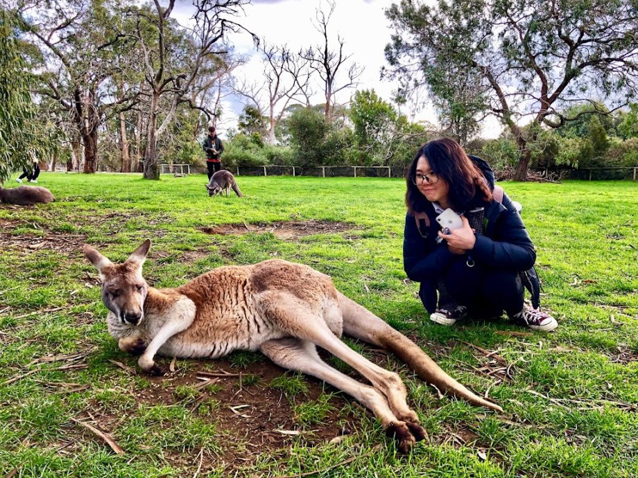 Cleland Wildlife Park - Foto 16