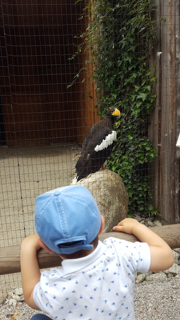 Wildpark Poing - Foto 5