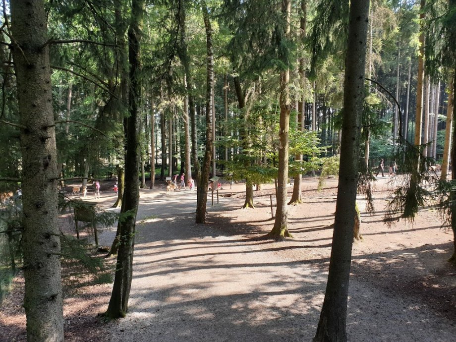 Wildpark Poing - Foto 19