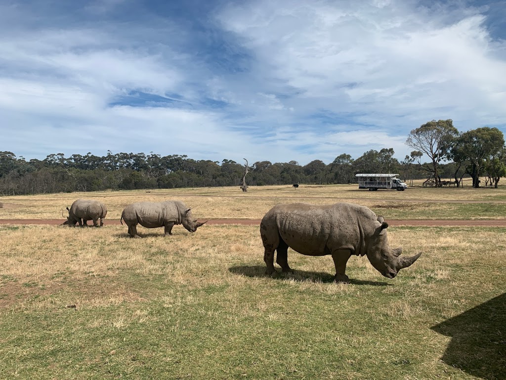 Werribee Open Range Zoo - Foto 1