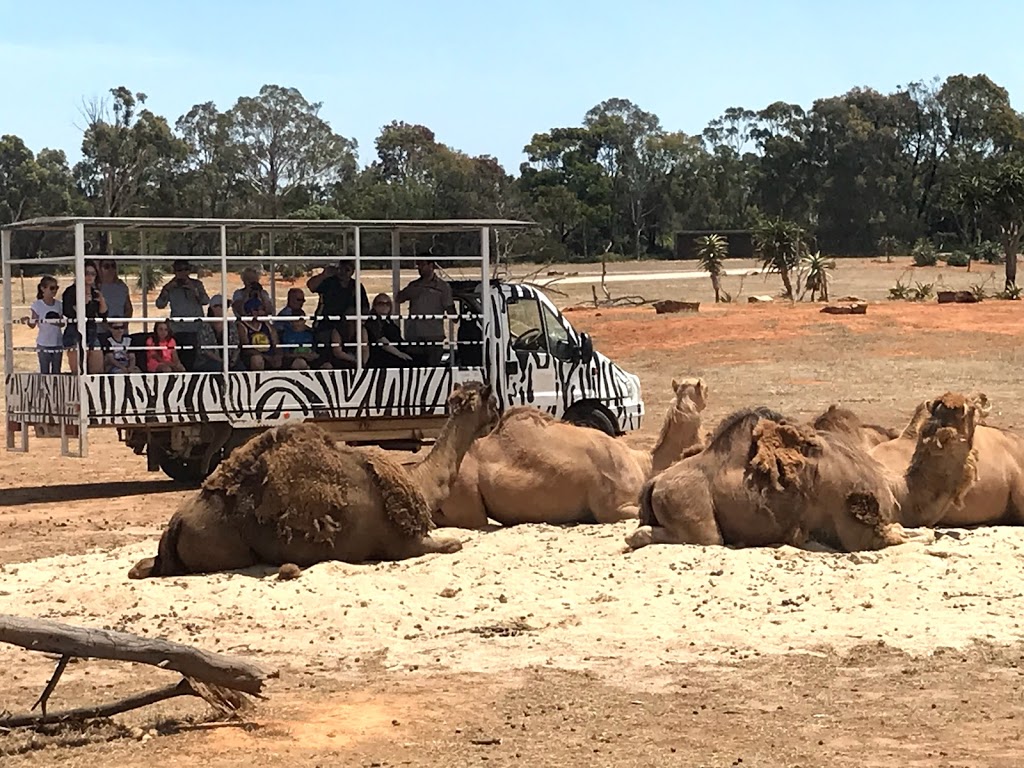 Werribee Open Range Zoo - Foto 1
