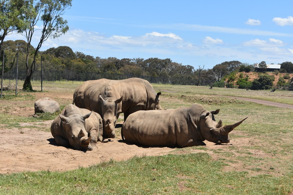 Werribee Open Range Zoo - Foto 1