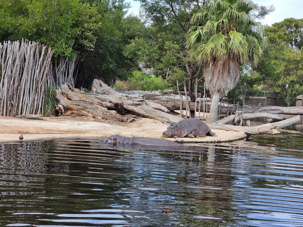 Werribee Open Range Zoo - Foto 1