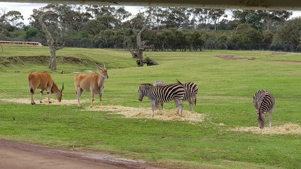 Werribee Open Range Zoo - Foto 1