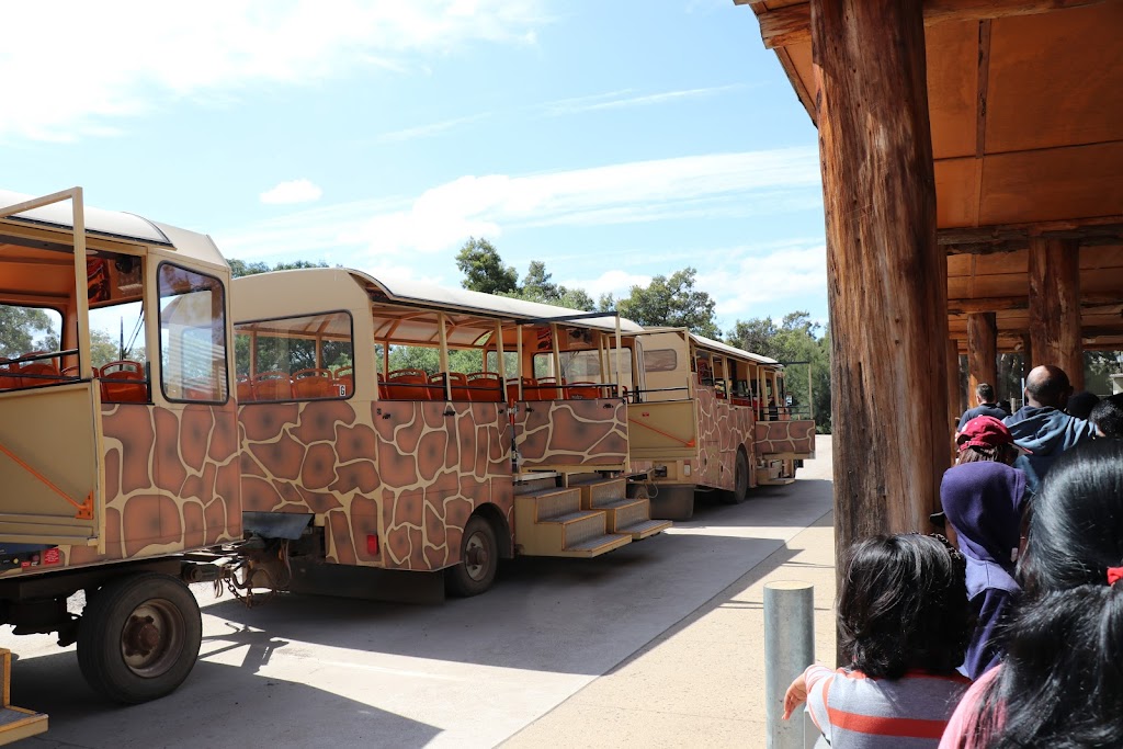 Werribee Open Range Zoo - Foto 1