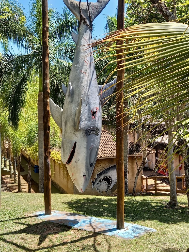 Thermas Water Park - Foto 9