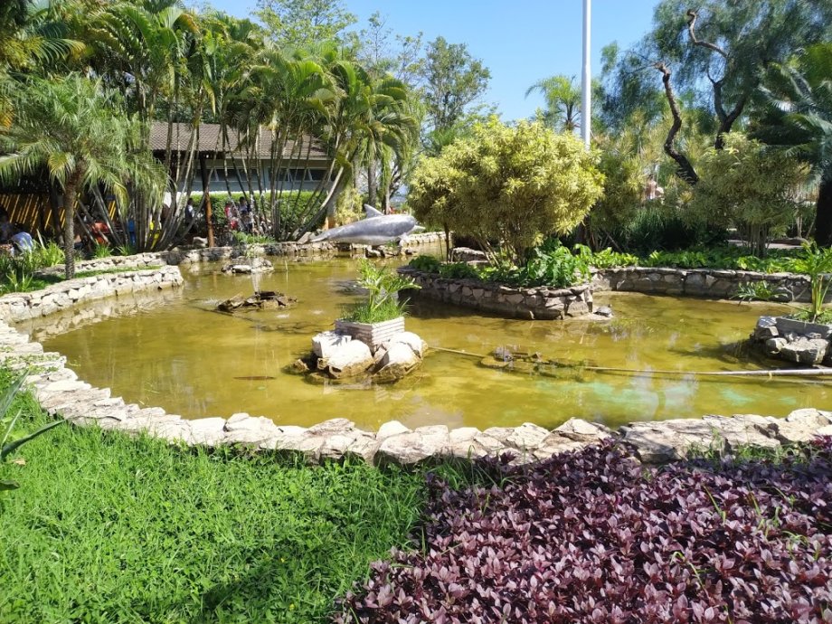 Thermas Water Park - Foto 10