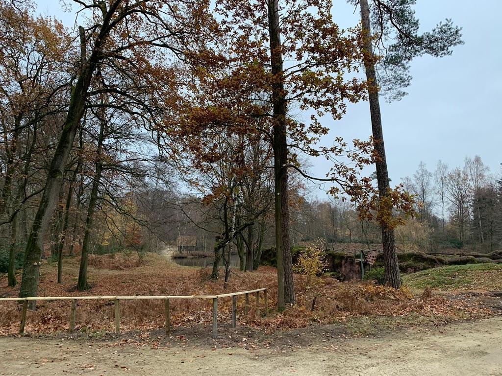 Dino Zoo Metelen - Foto 1