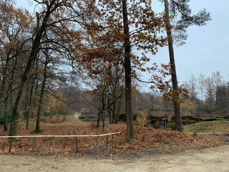 Dino Zoo Metelen - Foto 2