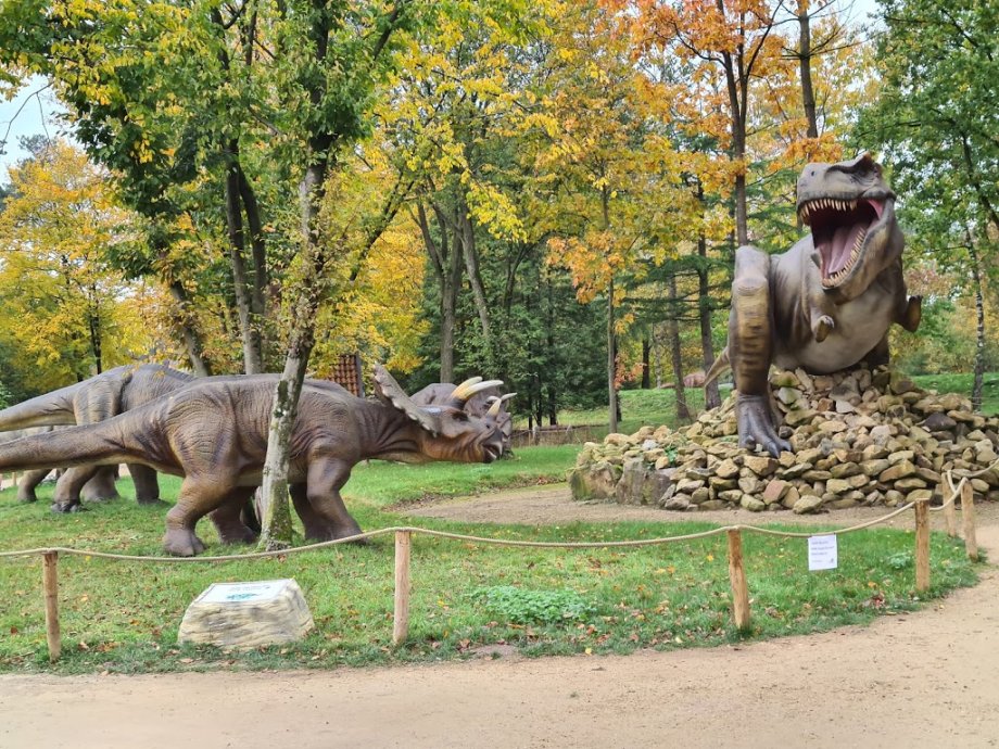 Dino Zoo Metelen - Foto 4