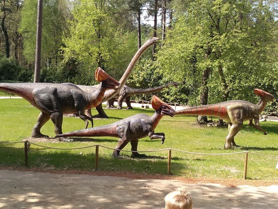 Dino Zoo Metelen - Foto 5